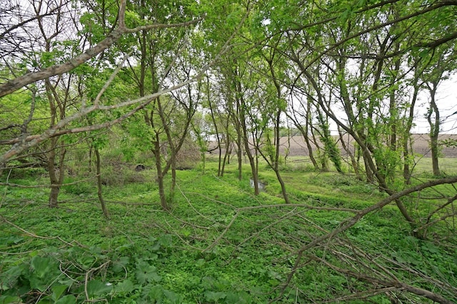 1511 Becker School Rd, Freeport, IL 61032 - view of nature