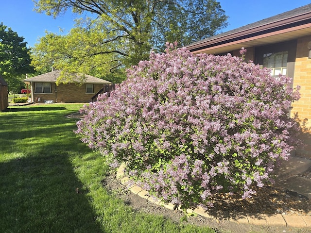 view of green lawn