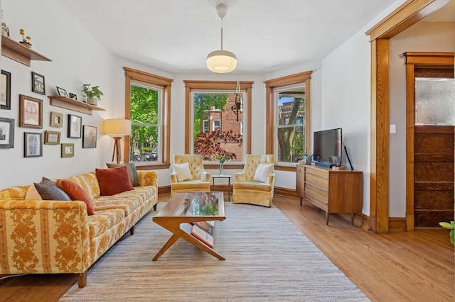 living area with wood finished floors