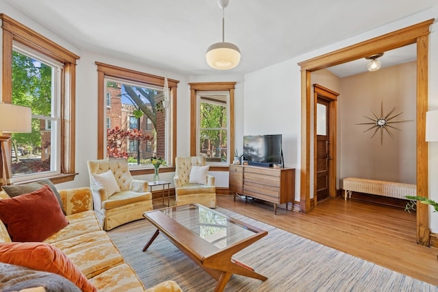 living room with healthy amount of natural light, wood finished floors, and radiator heating unit