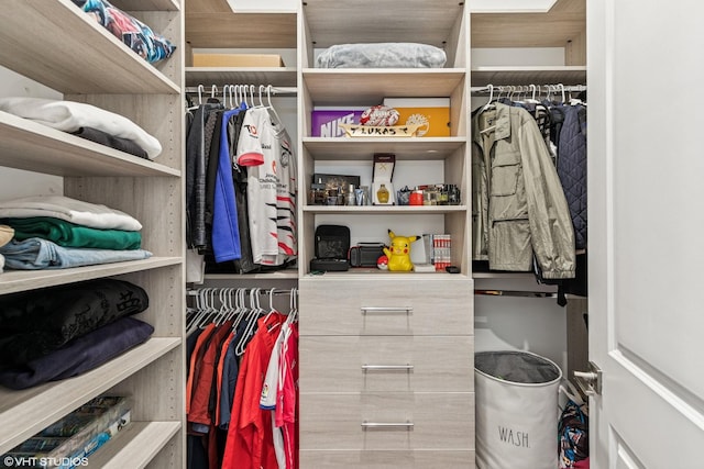 12060 Lake Trail Ln, Parkland, FL 33076 - view of walk in closet