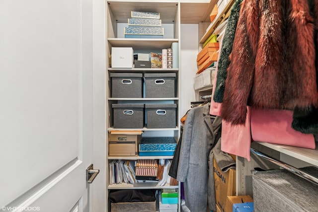 12060 Lake Trail Ln, Parkland, FL 33076 - view of walk in closet
