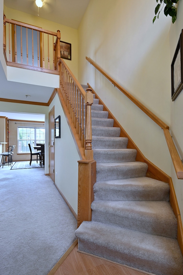 2209 Beaumont Ct, Aurora, IL 60502 - stairs with baseboards, carpet floors, and a towering ceiling
