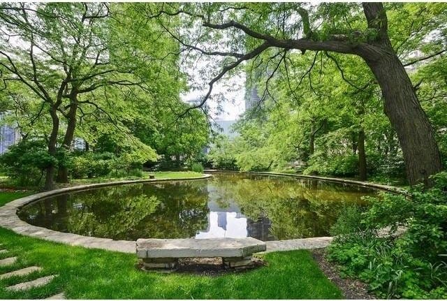 505 N Lake Shore Dr Unit 4907, Chicago, IL 60611 - surrounding community featuring a water view