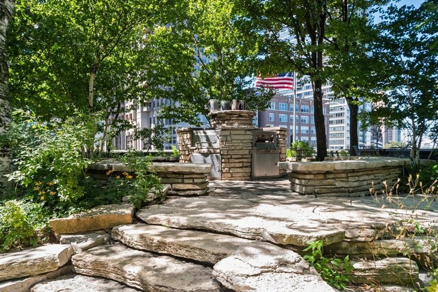505 N Lake Shore Dr Unit 4907, Chicago, IL 60611 - view of community