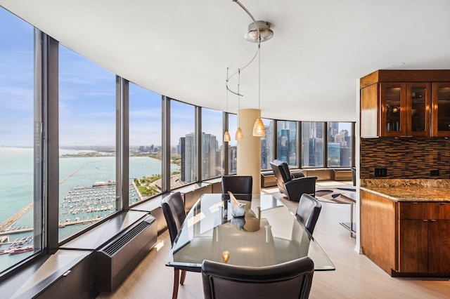 505 N Lake Shore Dr Unit 4907, Chicago, IL 60611 - dining space with a water view, light wood finished floors, and a city view
