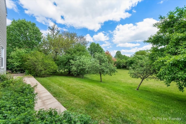 9 N Walnut Ct, Streamwood, IL 60107 - view of green lawn