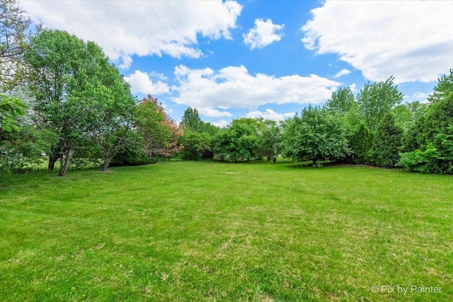 9 N Walnut Ct, Streamwood, IL 60107 - view of grassy yard