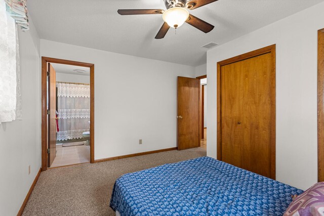 849 N Piatt St, Bement, IL 61813 - bedroom featuring carpet, baseboards, a closet, and ensuite bathroom