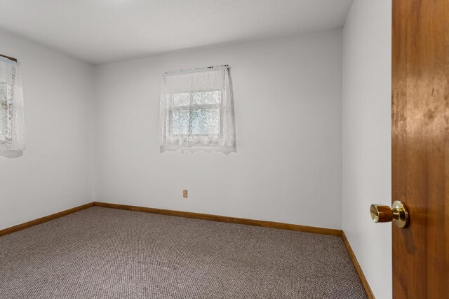 849 N Piatt St, Bement, IL 61813 - empty room with carpet flooring and baseboards