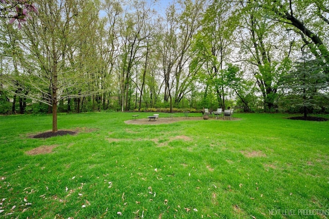 7N075 Hastings Dr, Saint Charles, IL 60175 - photo 5