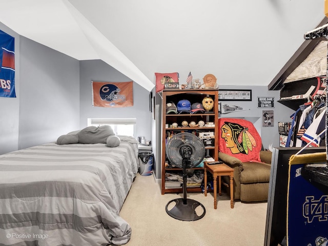 400 Mccarthy Rd Unit 416, Lemont, IL 60439 - view of carpeted bedroom