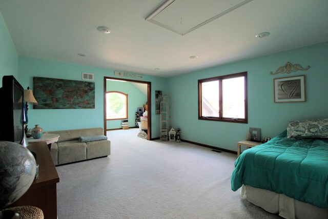 1198 Cougar Run, Manteno, IL 60950 - photo 20