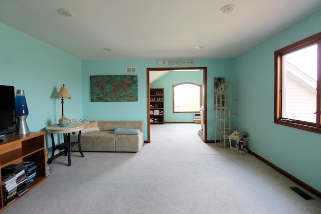 1198 Cougar Run, Manteno, IL 60950 - photo 21