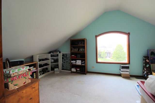 1198 Cougar Run, Manteno, IL 60950 - photo 23