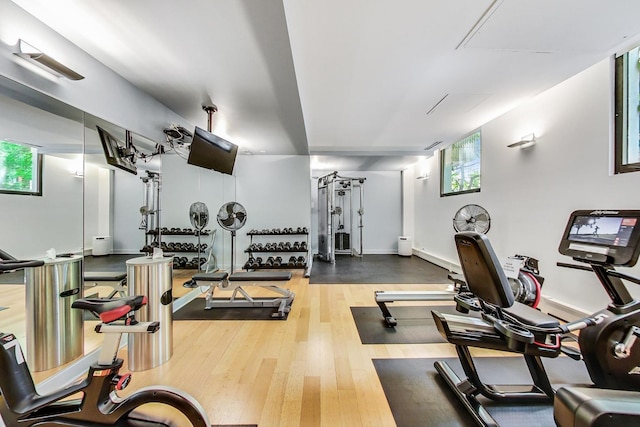 gym featuring wood finished floors and plenty of natural light