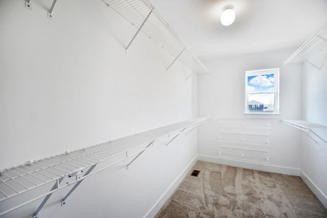24465 S St Peters Dr, Channahon, IL 60410 - walk in closet featuring carpet floors