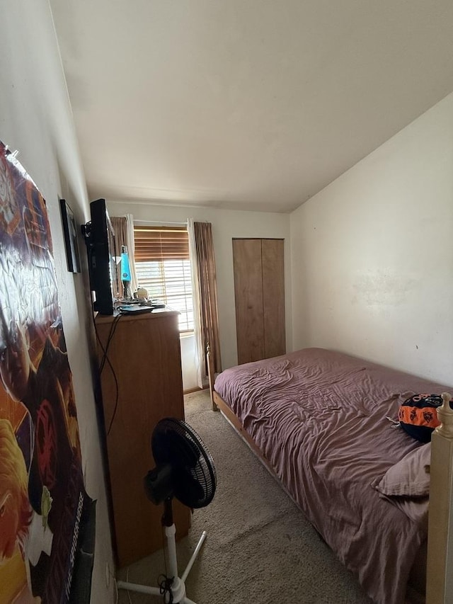 1646 Mcclure Rd Unit 1646, Aurora, IL 60505 - bedroom featuring carpet flooring
