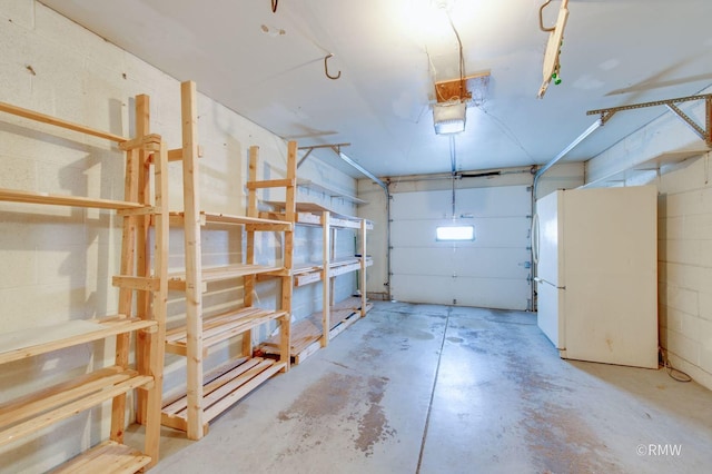 231 Barcliffe Ln Unit 231, Schaumburg, IL 60194 - garage with freestanding refrigerator