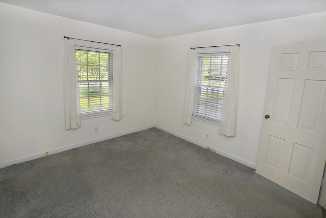 122 W Allen St, Ottawa, IL 61350 - carpeted empty room featuring plenty of natural light and baseboards
