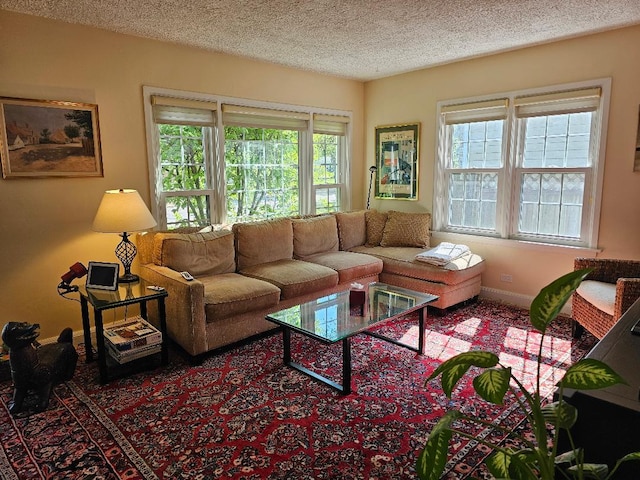 213 W Park Ave, Wheaton, IL 60189 - carpeted living room with a textured ceiling and baseboards