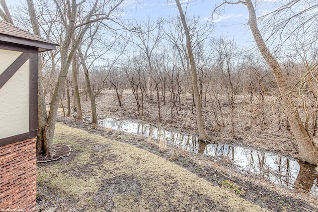 8245 Willow Dr Unit 43D, Palos Hills, IL 60465 - view of yard