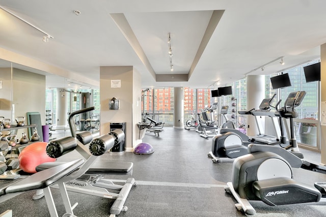 exercise room with rail lighting, healthy amount of natural light, and a wall of windows