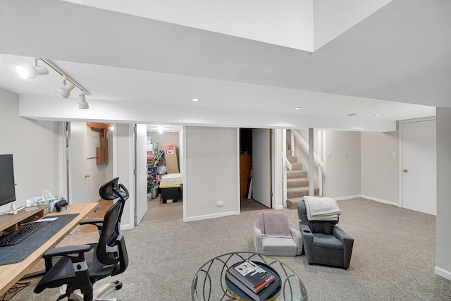 407 Meadow Ave, Frankfort, IL 60423 - office space with carpet, rail lighting, and baseboards