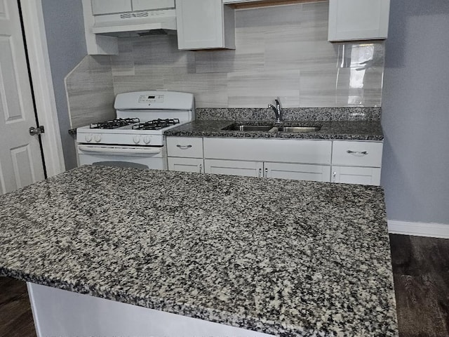 22 E 118th St, Chicago, IL 60628 - kitchen featuring under cabinet range hood, white gas range oven, a sink, backsplash, and dark wood-style floors