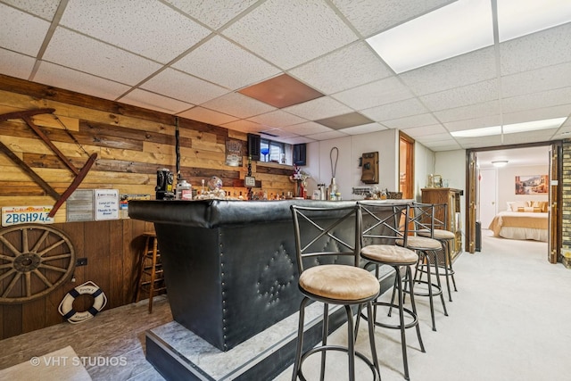 354 Richmond Ln, Lakewood, IL 60014 - indoor dry bar with wood walls and a paneled ceiling