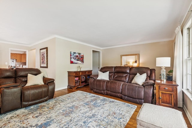 354 Richmond Ln, Lakewood, IL 60014 - living room featuring wood finished floors, baseboards, and ornamental molding