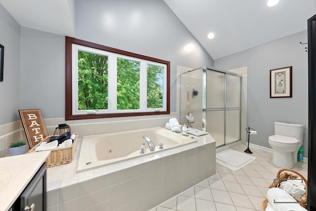 480 De Lasalle Ave, Naperville, IL 60565 - full bath featuring vaulted ceiling, a tub with jets, toilet, a shower stall, and vanity