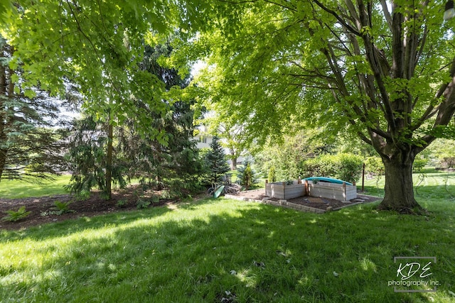 480 De Lasalle Ave, Naperville, IL 60565 - view of green lawn