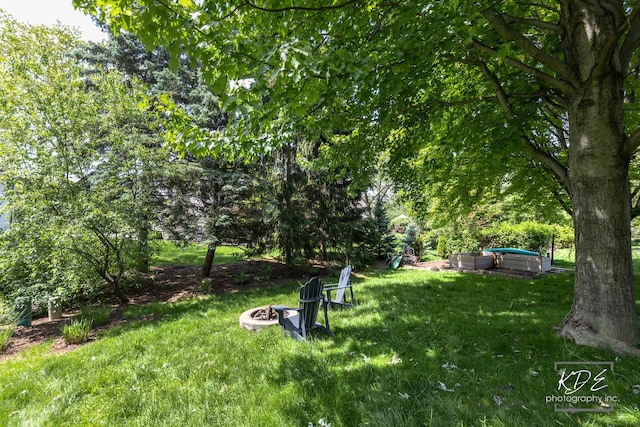 480 De Lasalle Ave, Naperville, IL 60565 - view of grassy yard with an outdoor fire pit