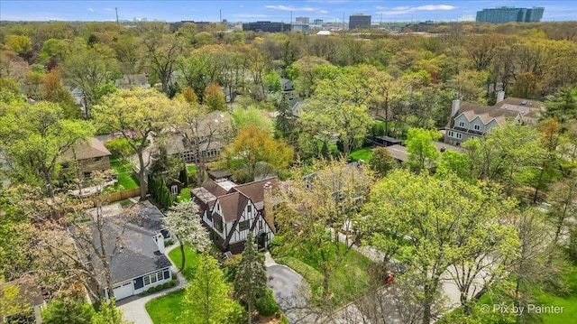 705 Hunter Rd, Glenview, IL 60025 - drone / aerial view