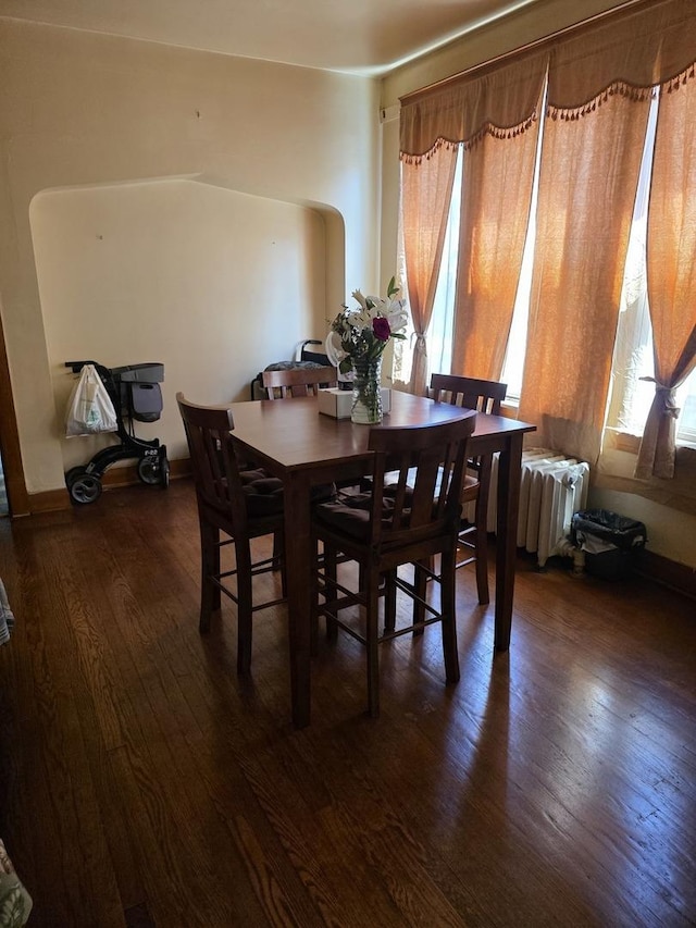 dining room featuring dark wood-style floors, healthy amount of natural light, and radiator