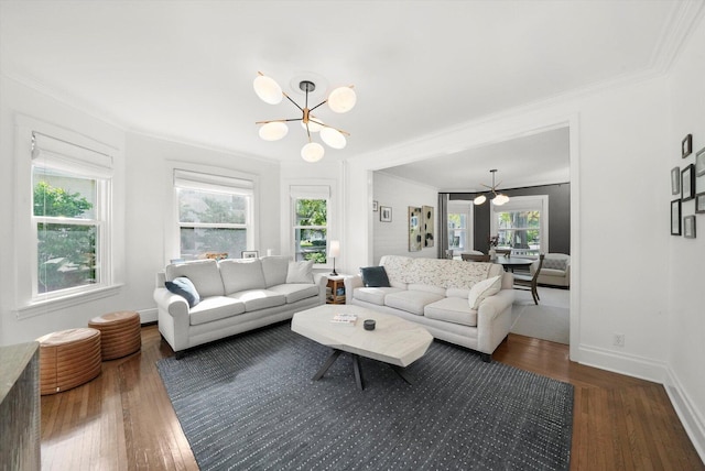 living area featuring a chandelier, dark wood-style floors, ornamental molding, and plenty of natural light