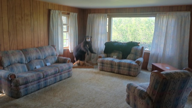 2119 E Exchange St, Crete, IL 60417 - living area featuring carpet floors and wood walls