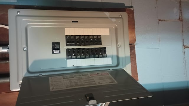 2119 E Exchange St, Crete, IL 60417 - utilities with electric panel