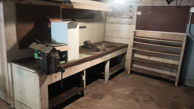 2119 E Exchange St, Crete, IL 60417 - unfinished below grade area featuring a workshop area