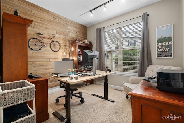 10650 Painted Desert Ct, Huntley, IL 60142 - office space featuring wooden walls, track lighting, carpet, and baseboards
