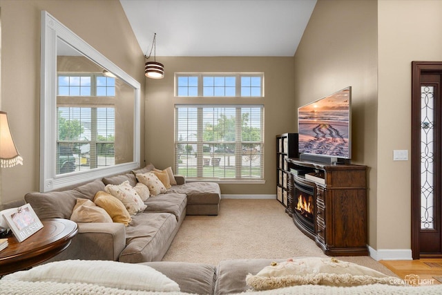 10650 Painted Desert Ct, Huntley, IL 60142 - living area with baseboards and vaulted ceiling