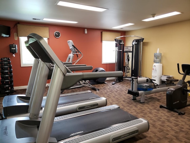 workout area with carpet