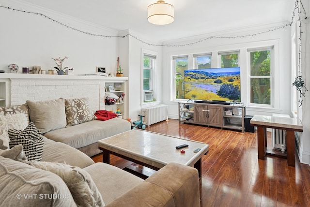 5814 N Campbell Ave, Chicago, IL 60659 - living area with radiator, crown molding, healthy amount of natural light, and hardwood / wood-style floors