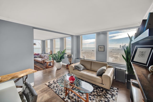 2626 N Lakeview Ave Unit 2703, Chicago, IL 60614 - living area featuring wood finished floors and baseboards