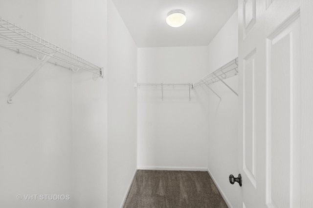 667 W Jonathan Dr, Round Lake, IL 60073 - spacious closet featuring carpet floors