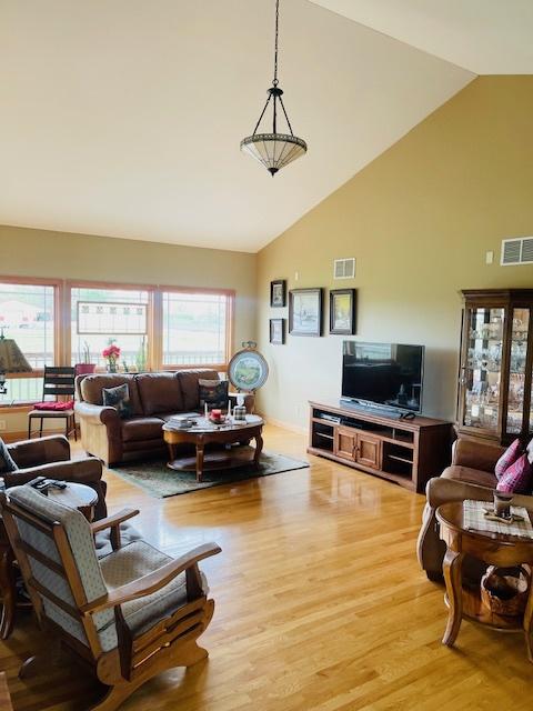 1976 E 24th Rd, Ransom, IL 60470 - living area with high vaulted ceiling and light wood-style floors