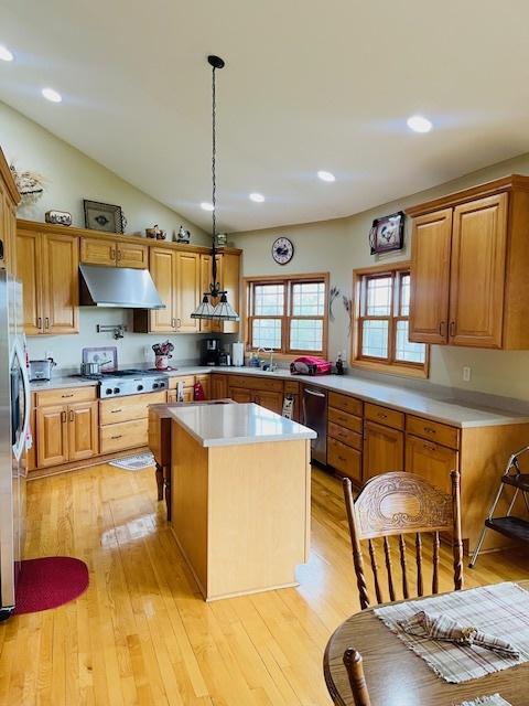 1976 E 24th Rd, Ransom, IL 60470 - kitchen with under cabinet range hood, a kitchen island, appliances with stainless steel finishes, light countertops, and lofted ceiling
