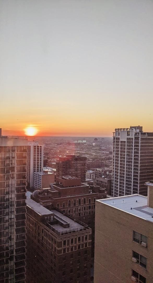 3150 N Lake Shore Dr Unit 30C, Chicago, IL 60657 - view of city
