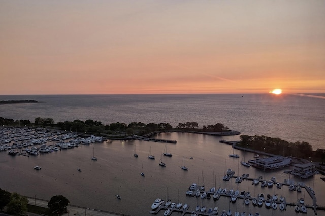 3150 N Lake Shore Dr Unit 30C, Chicago, IL 60657 - water view featuring numerous boat docks